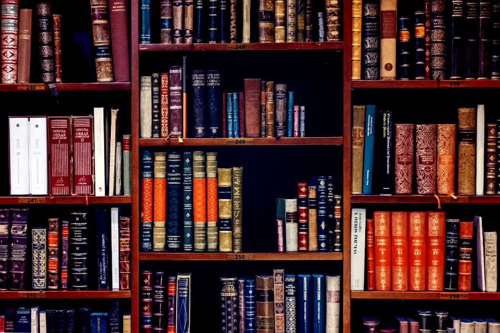 assorted-title of books piled in the shelves